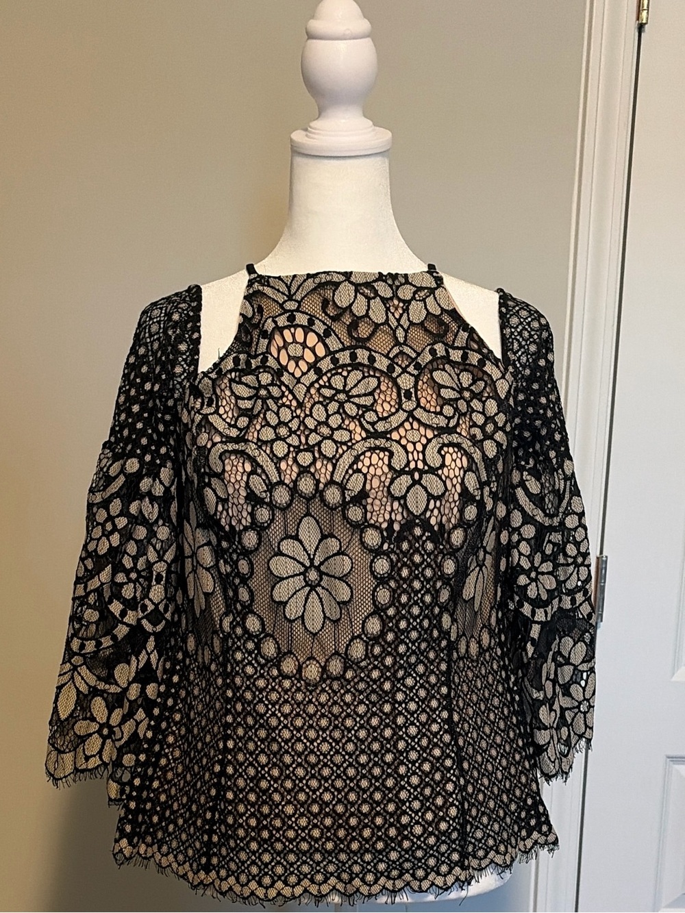 VENUS Black Lace Overlay Top with Nude Lining
